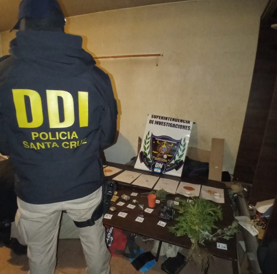 Operativo antidrogas en Zona Norte: secuestran estupefacientes y armas 