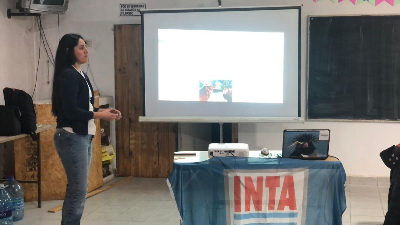 El INTA de Caleta Olivia  capacitó sobre el manejo lumínico y control productivo avícola