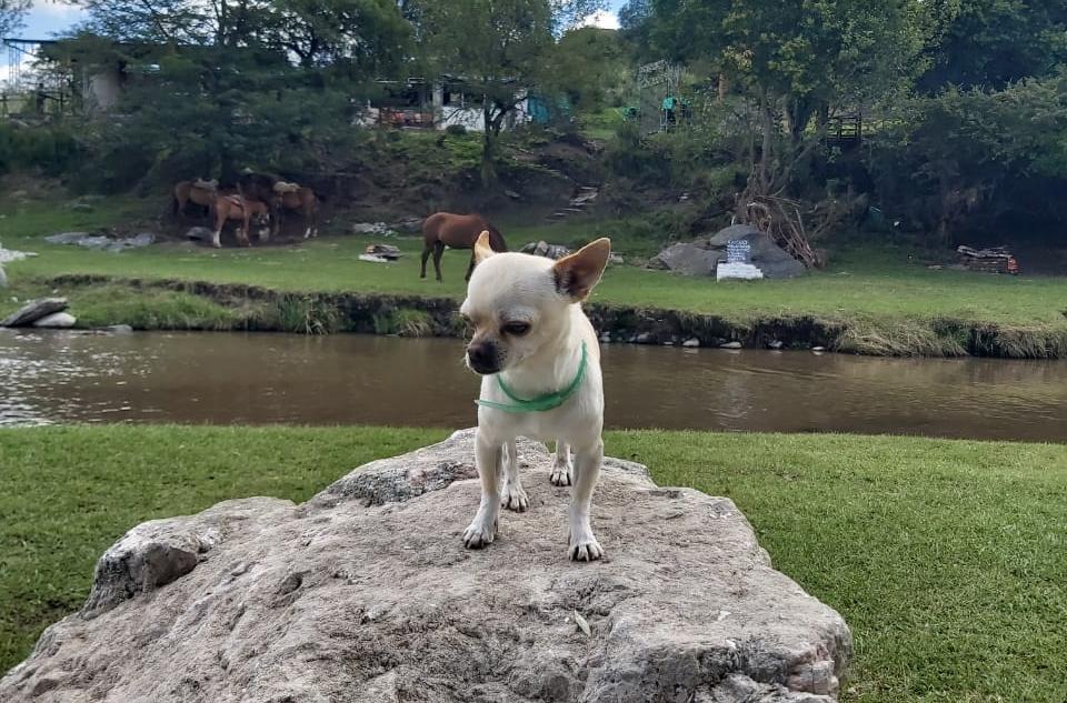 Walter Robledo: “Estamos teniendo un paro que se está sintiendo”