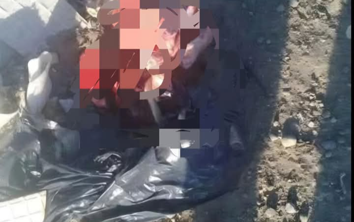 Terrible hallazgo en el vaciadero municipal: un bebé sin vida en una bolsa