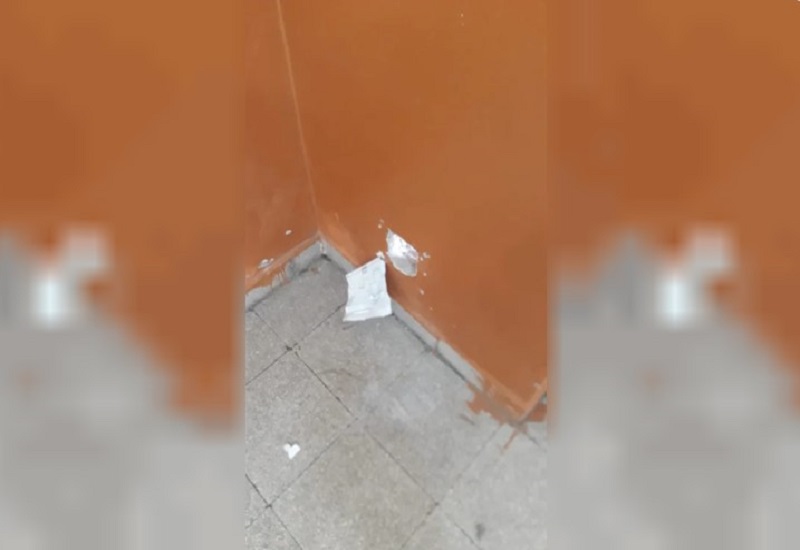 El guanaco en Santa Cruz: entre el desafío ambiental y su potencial nutricional