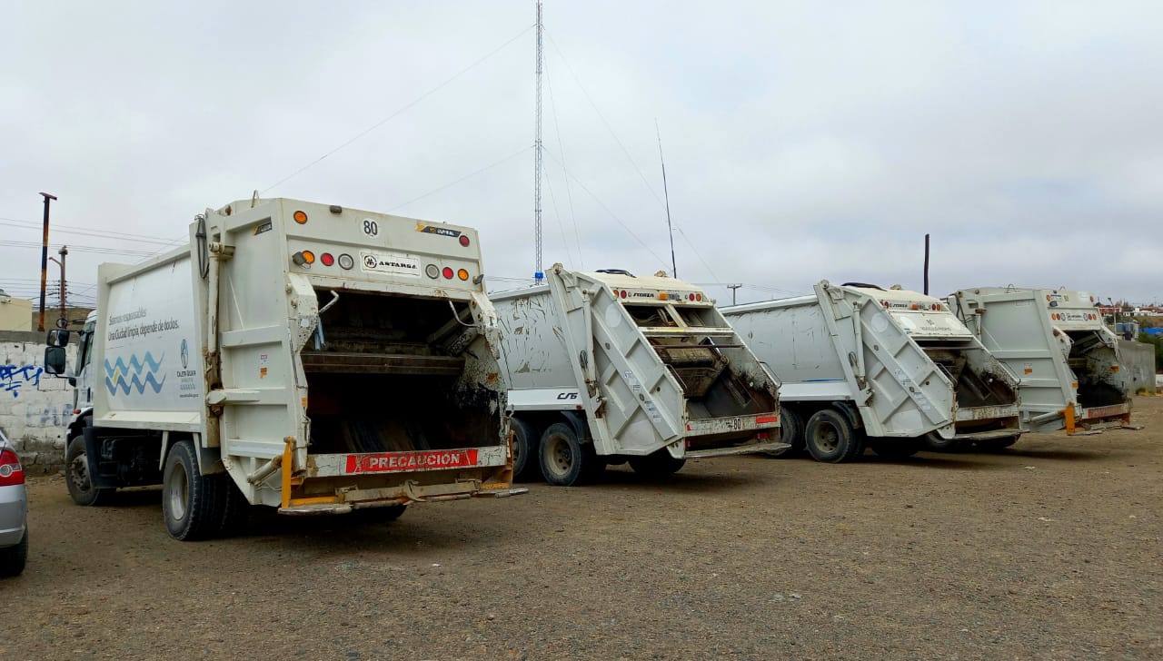 El guanaco en Santa Cruz: entre el desafío ambiental y su potencial nutricional