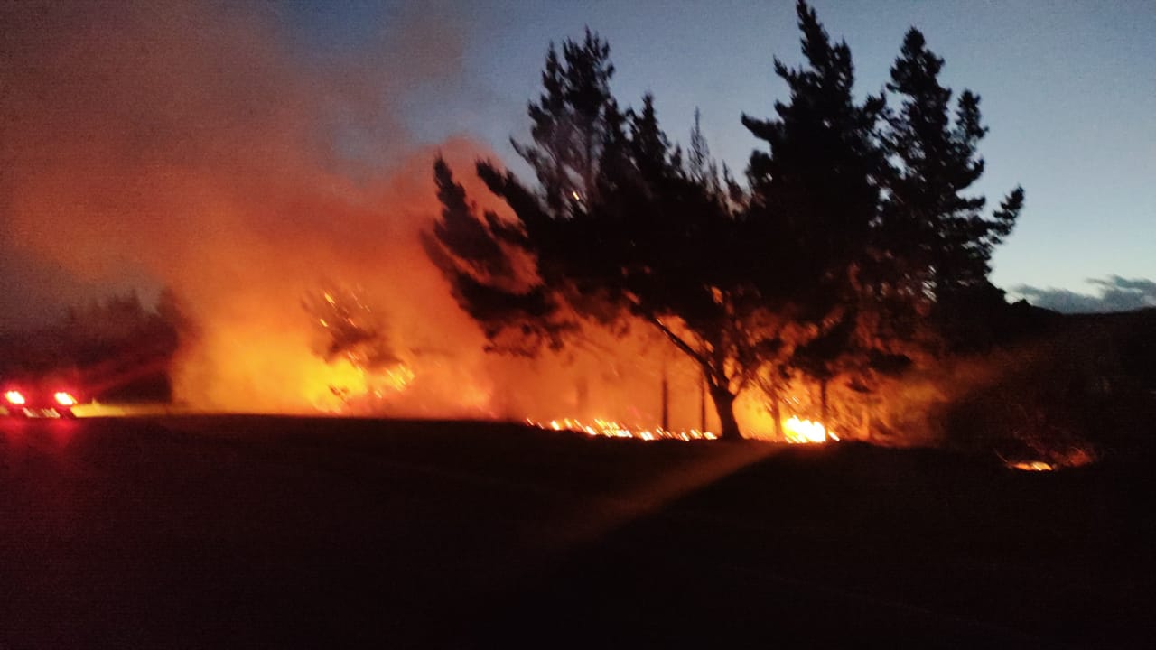 Incendio en ruta provincial  43 controlado por los bomberos 