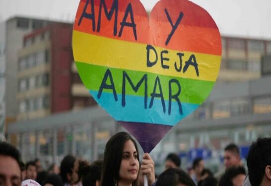 15 de julio: Aniversario de la Promulgación del Matrimonio Igualitario