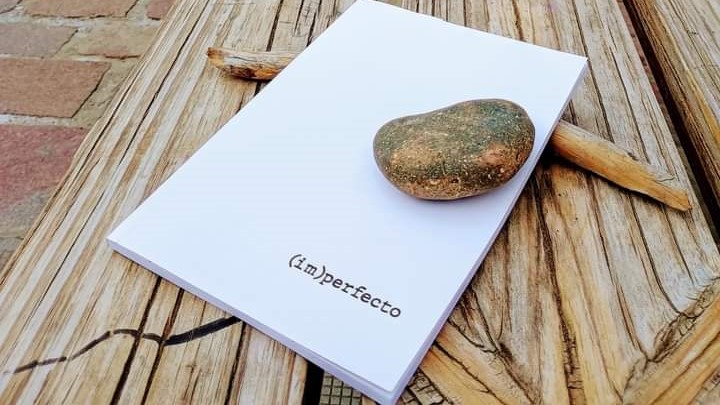 Desmantelan invernadero clandestino de marihuana en barrio Rotary XXIII