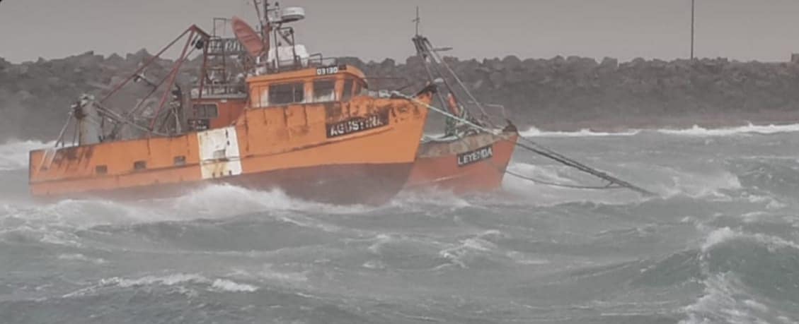 Desmantelan invernadero clandestino de marihuana en barrio Rotary XXIII