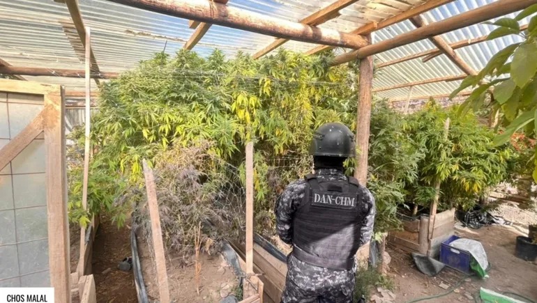 Golpe récord y secuestro de drogas valuada en casi $700 millones