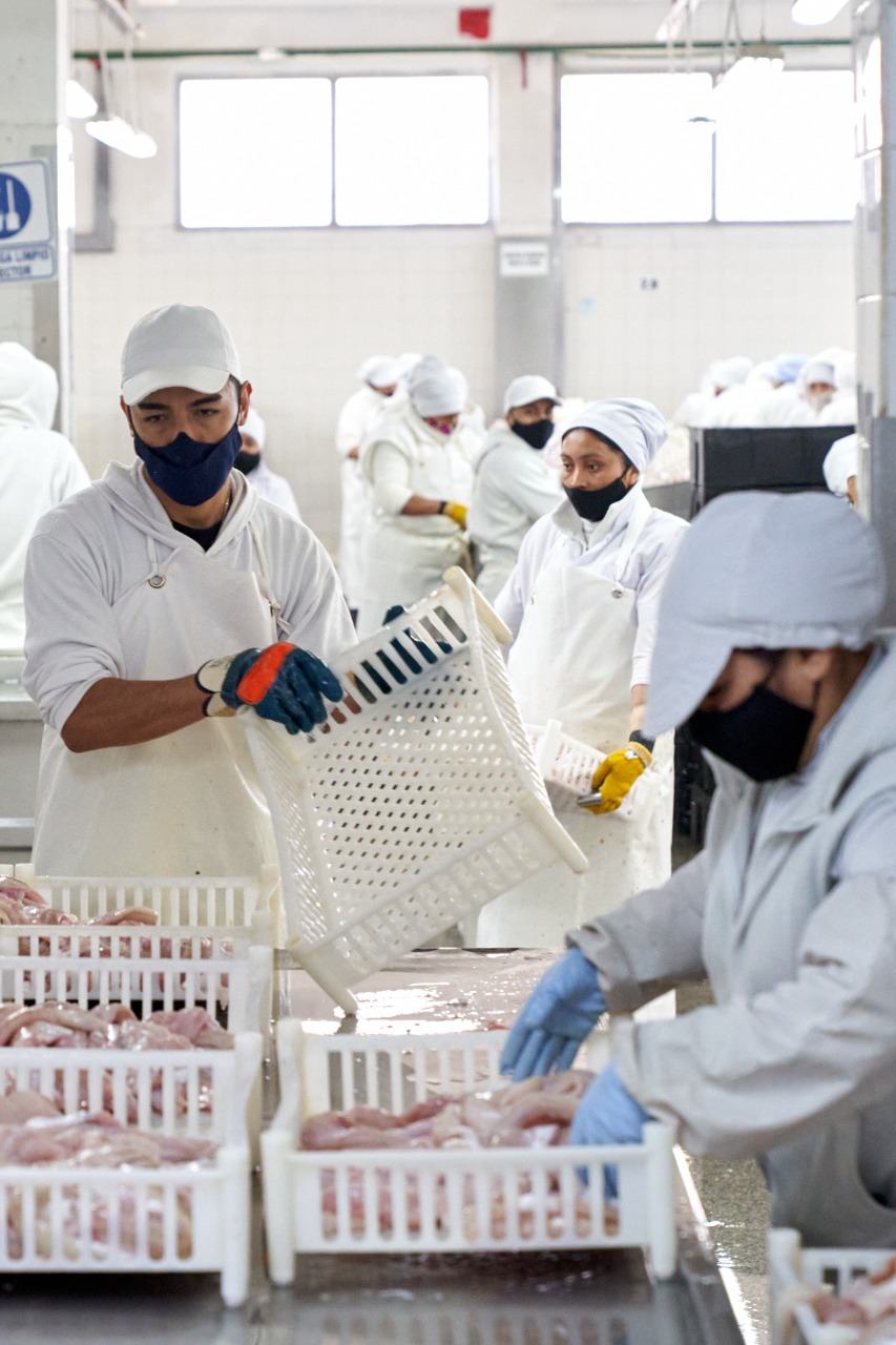 Hechos para Crecer: La incorporación de la pesca a la matriz productiva de Santa Cruz