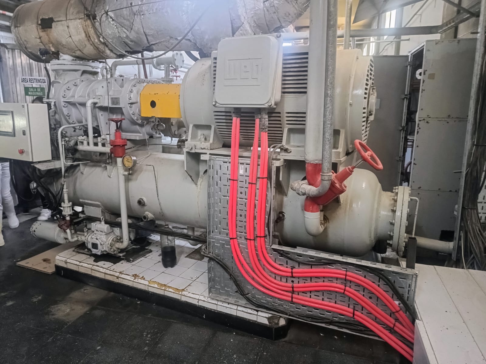 Educación presentó la guía 