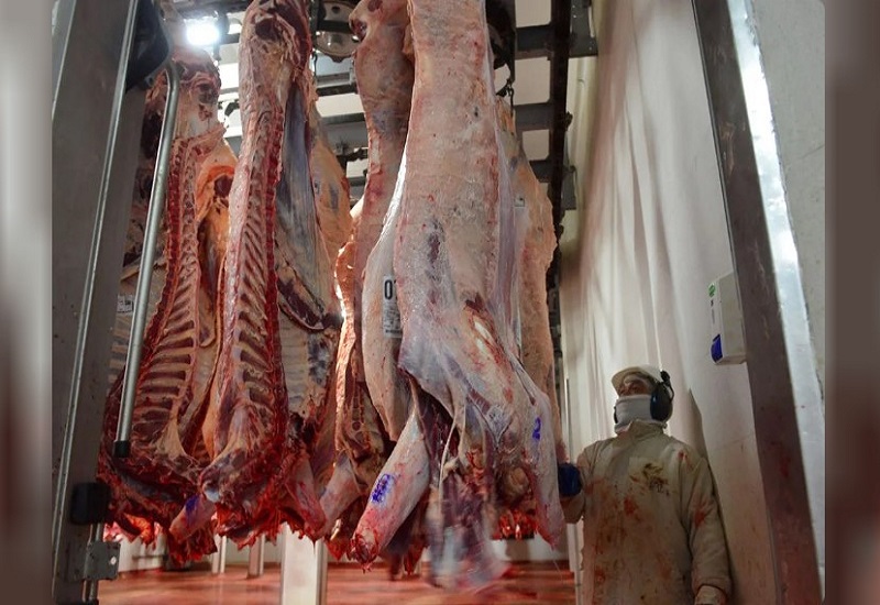 Chau a la media res: a partir de noviembre la carne se venderá trozada