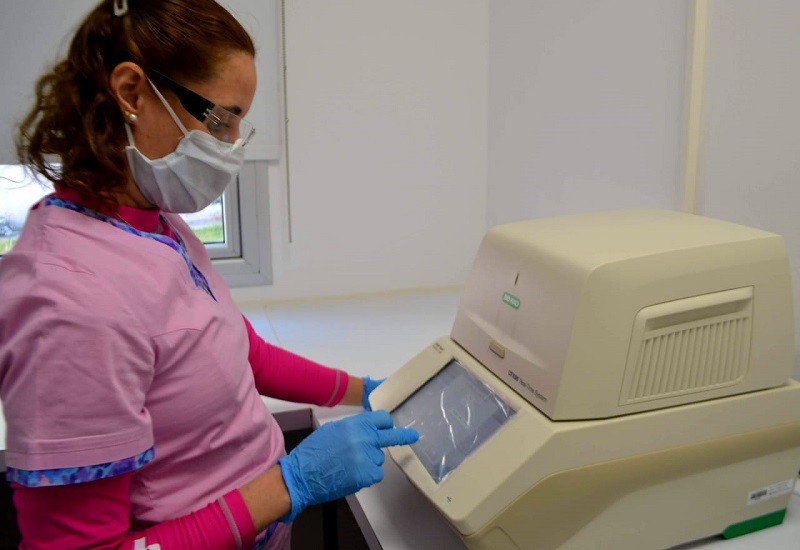 “La Vendimia 2026” continuó con degustaciones, emprendedores y espectáculos artísticos