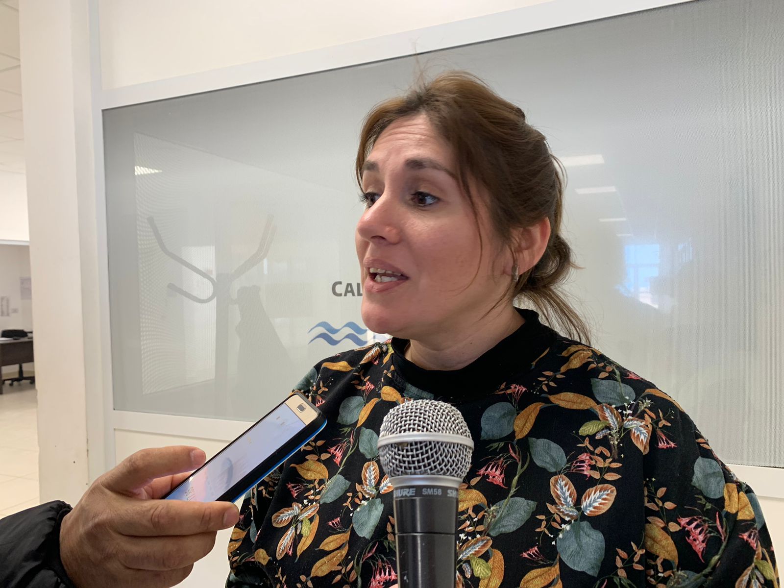 Vivana Carabajal no buscará la reelección en la Caja de Previsión Social