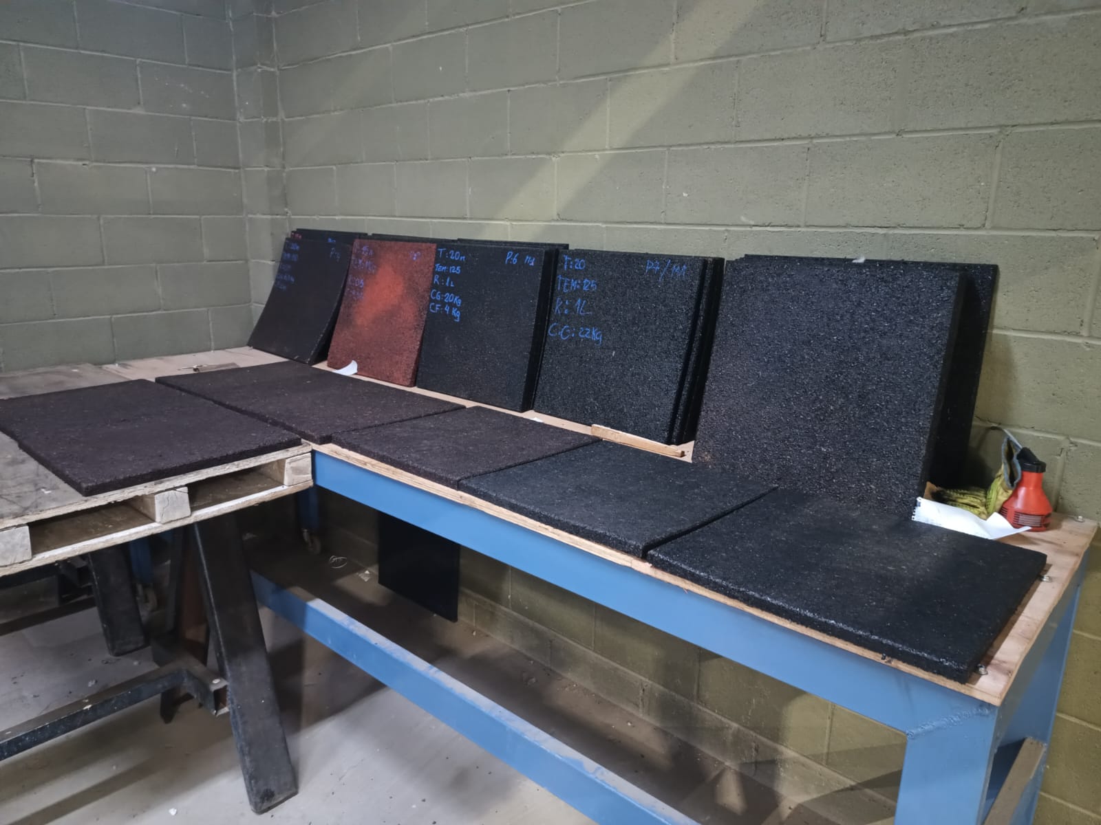 Desmantelan invernadero clandestino de marihuana en barrio Rotary XXIII