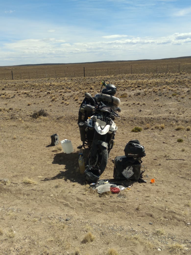 Ruta Nacional 3: motociclista brasileño impacta con un guanaco