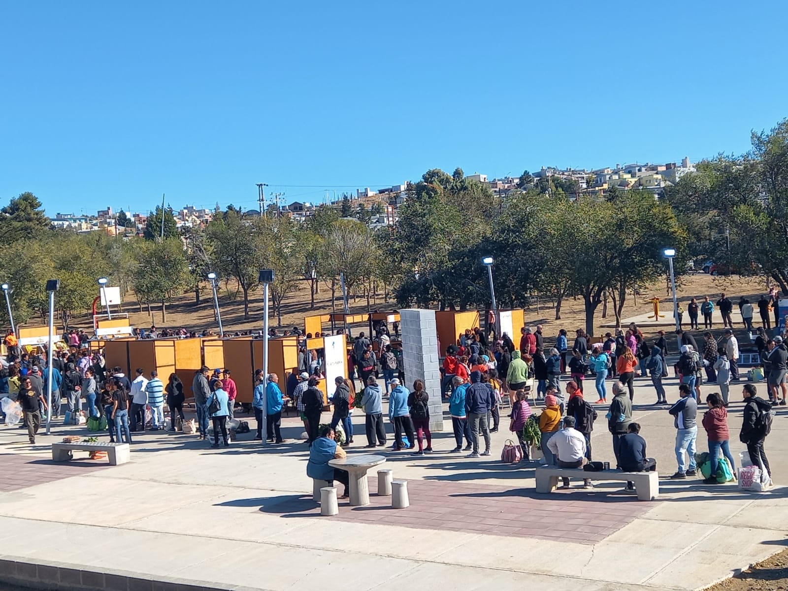 Llega la segunda edición de la feria itinerante de frutas y verduras 