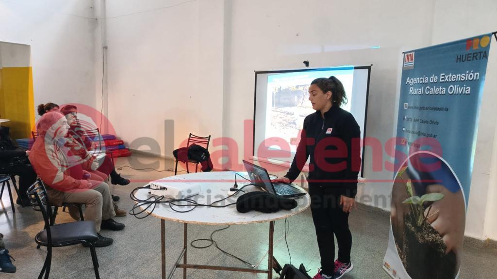 Oportunidad de aprender y cultivar, capacitación en producción de huertas