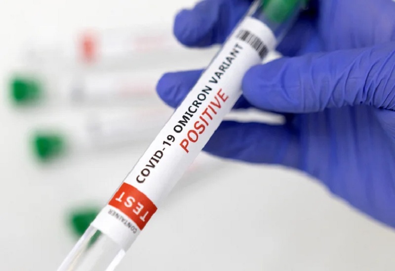 Educación presentó la guía 