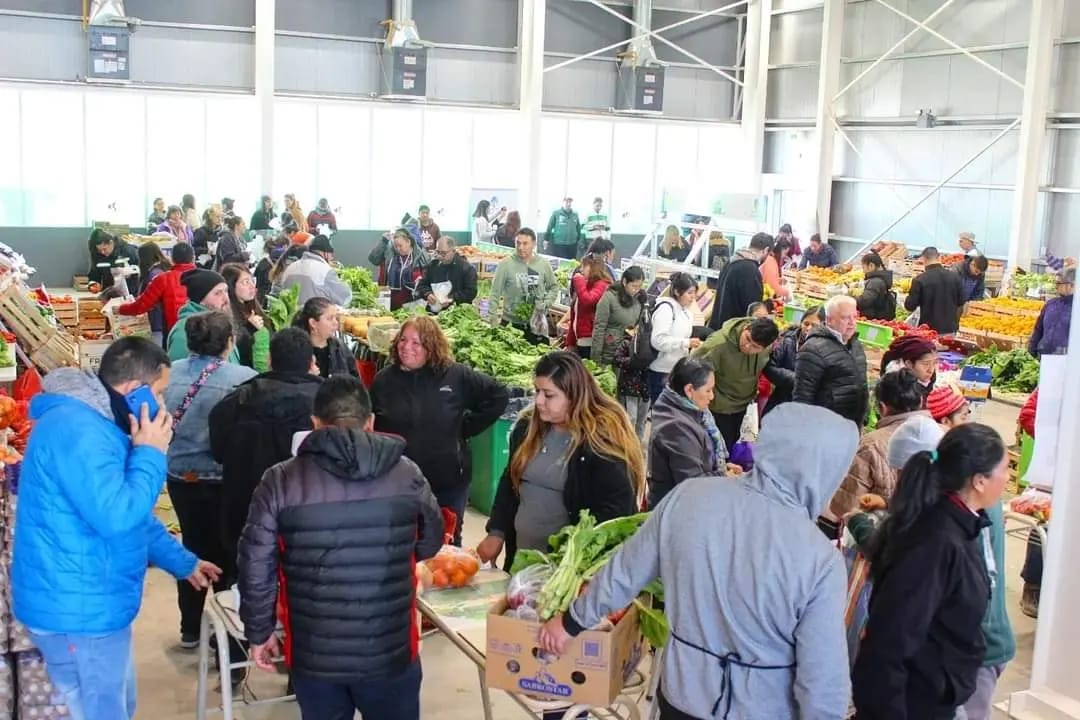 El guanaco en Santa Cruz: entre el desafío ambiental y su potencial nutricional