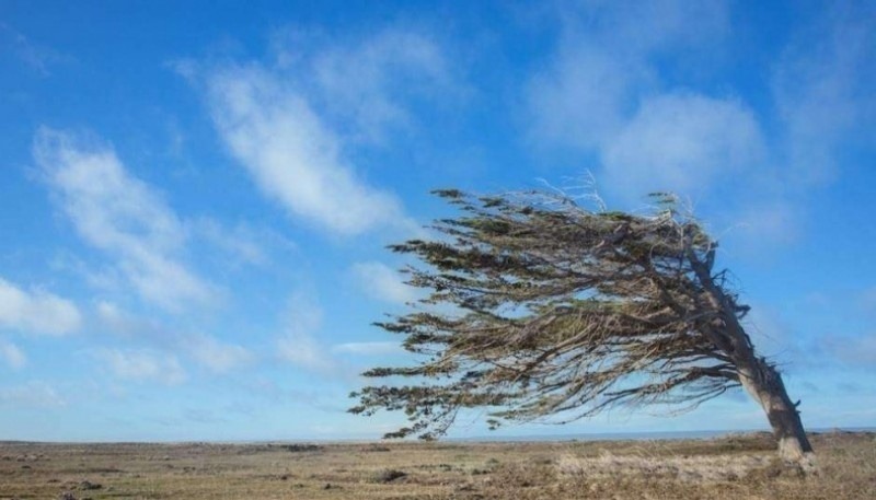 Alerta Naranja: restringen tramos en ruta para la circulación vehicular