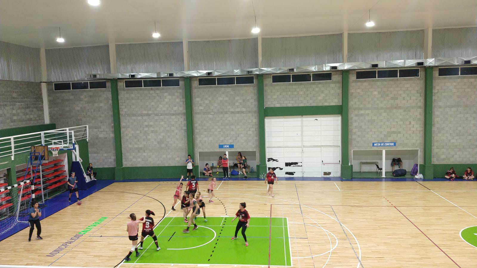 Handball: Confirmado el seleccionado femenino de Araucanía