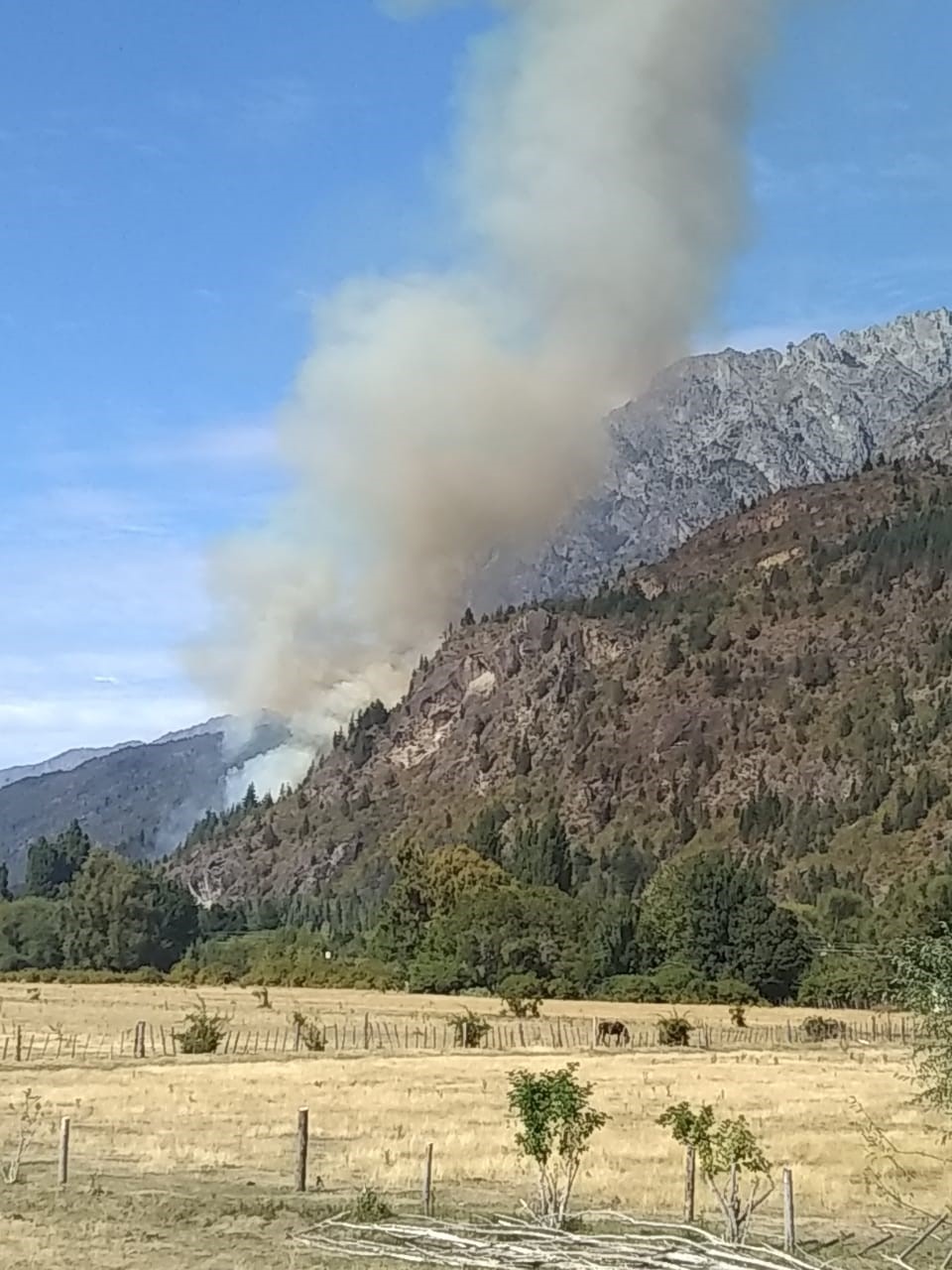 Chubut: Otro incendio forestal en la Comarca, esta vez en El Pedregoso
