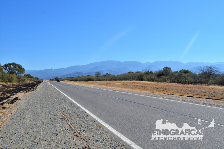 El guanaco en Santa Cruz: entre el desafío ambiental y su potencial nutricional
