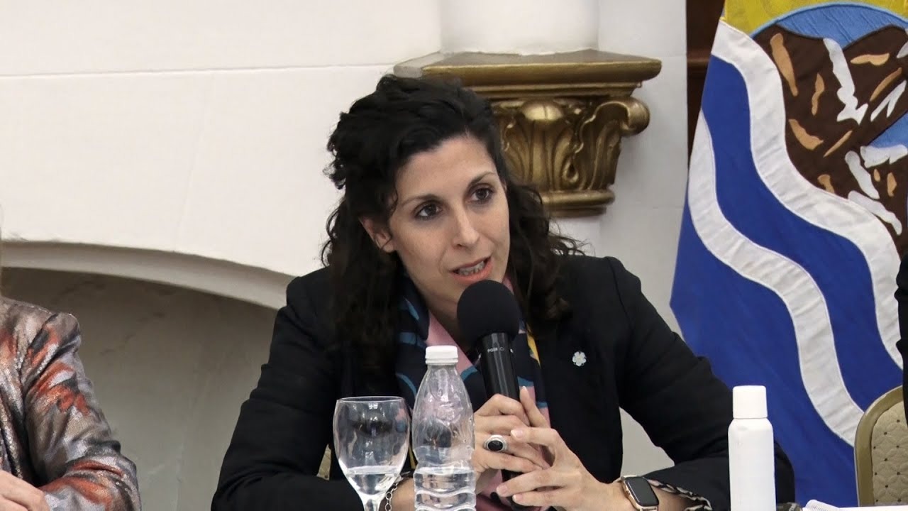 Mora: “Hay que buscar la alternativa antes de responder a las promesas de campaña”