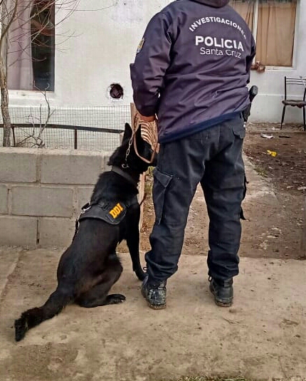 Lotería de Santa Cruz: Pavez respondió consultas en la Cámara de Diputados