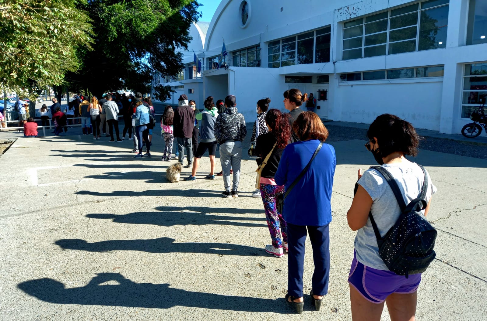 Continúan las mejoras urbanas con una obra de adoquinado en el barrio 3 de Febrero