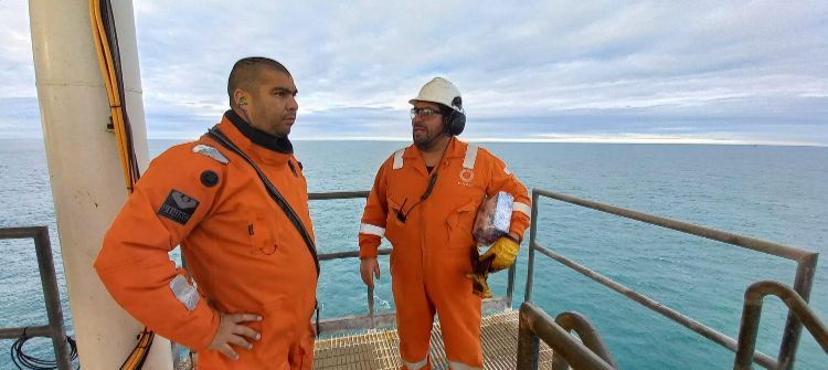 Conarpesa vuelve a operar en el puerto Caleta Paula