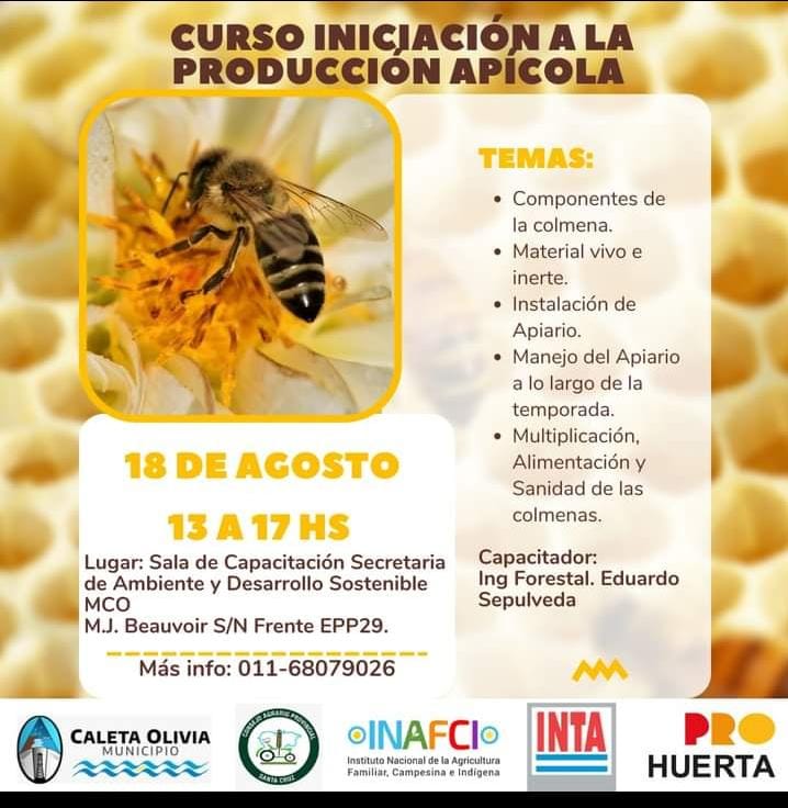 Cañadón Seco vivió una noche de arte, música y reflexión con propuestas culturales abiertas a la comunidad