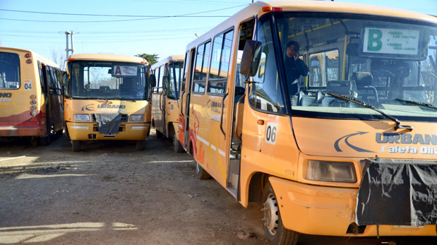 Cotillo contó cómo se avanza el transporte público y dijo que vuelven las competencias 