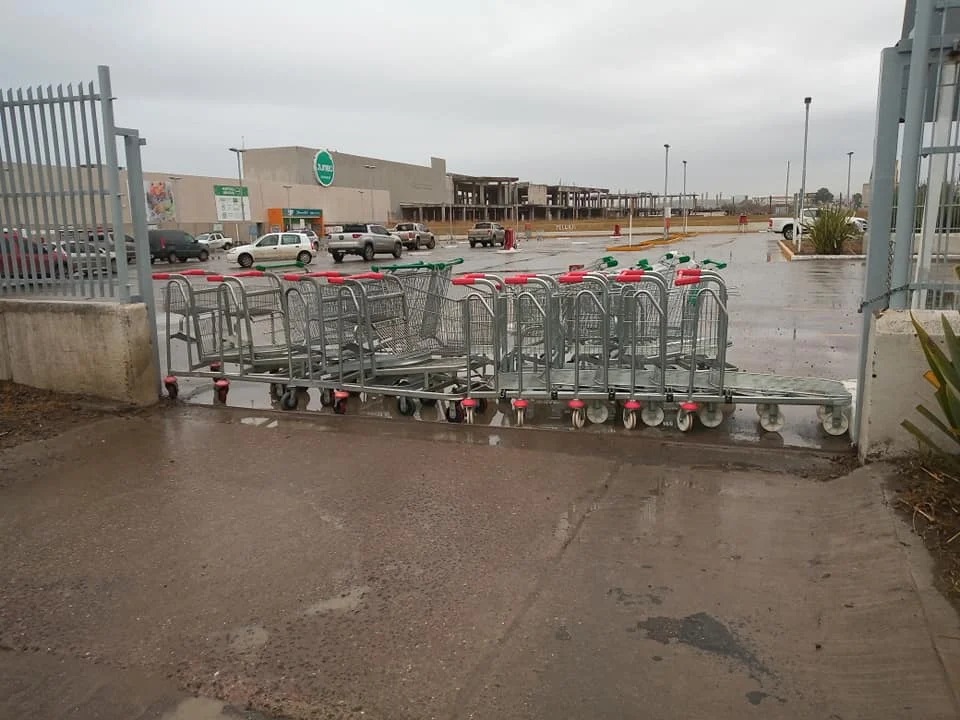 Desmantelan invernadero clandestino de marihuana en barrio Rotary XXIII