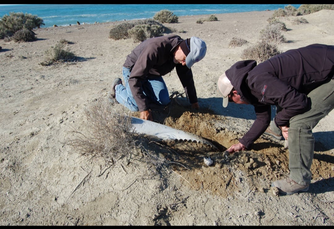 Iris Casas: “Hay mucho lote sin nada y apostamos a que se puedan entregar a otras familias”