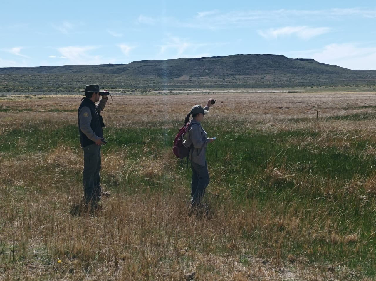 Humedales del Parque Nacional Bosques Petrificados: Son un oasis de vida en la estepa patagónica