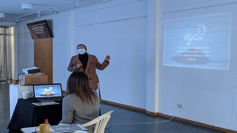 Avanzan en la creación de un circuito turístico para realizar avistajes de ballenas en Caleta Olivia