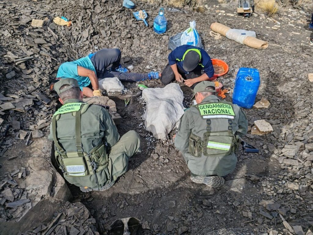 “La Vendimia 2026” continuó con degustaciones, emprendedores y espectáculos artísticos