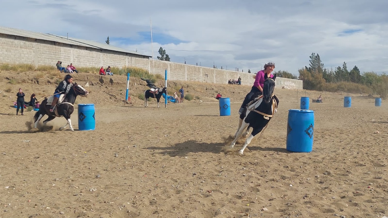 Día de la Bandera: Juegos de riendas en Caleta Olivia 