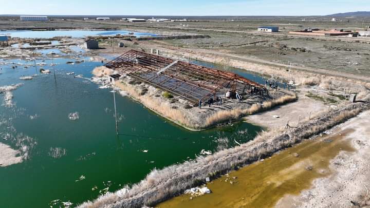 Daura Gold confirmó hallazgo de alta ley en oro y plata en el proyecto La Flora en Santa Cruz