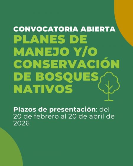 Se abre la convocatoria para la presentación de Planes de Manejo y/o Conservación de Bosques Nativos