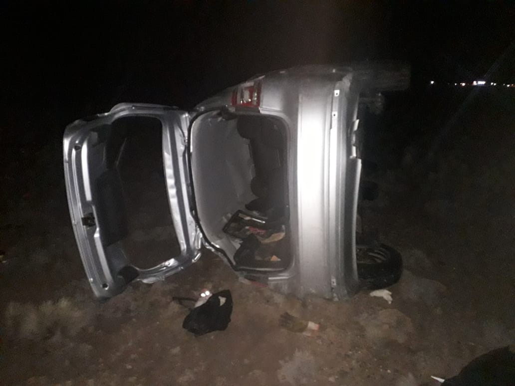 El guanaco en Santa Cruz: entre el desafío ambiental y su potencial nutricional