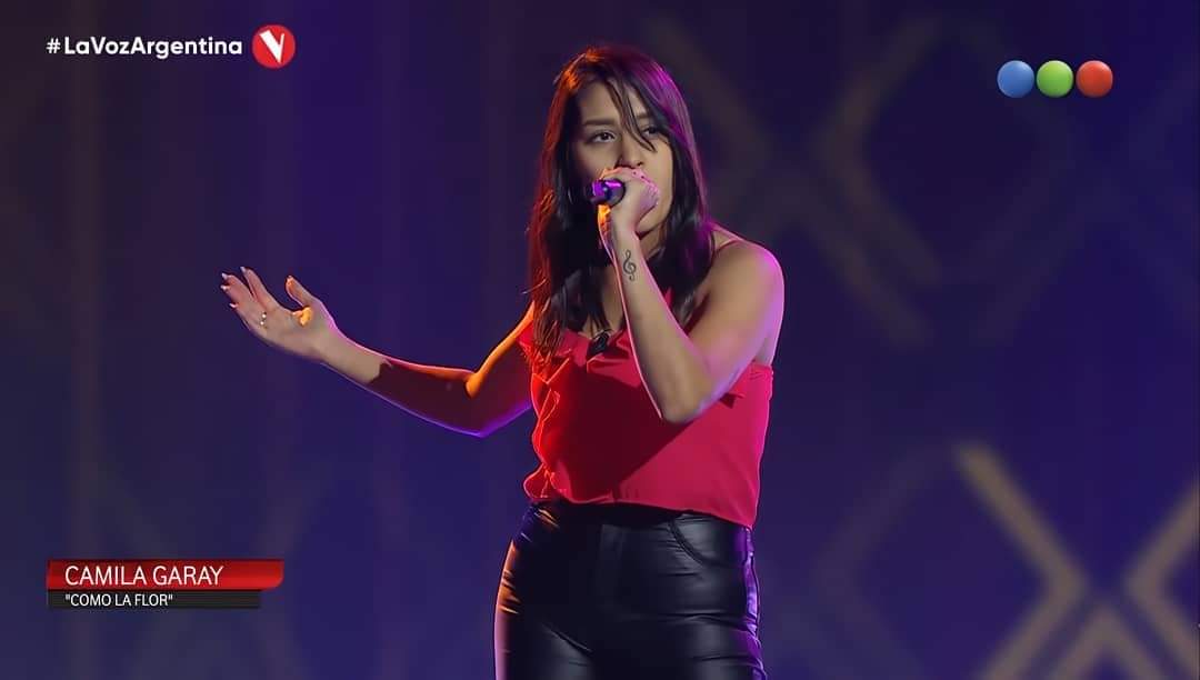 Desmantelan invernadero clandestino de marihuana en barrio Rotary XXIII