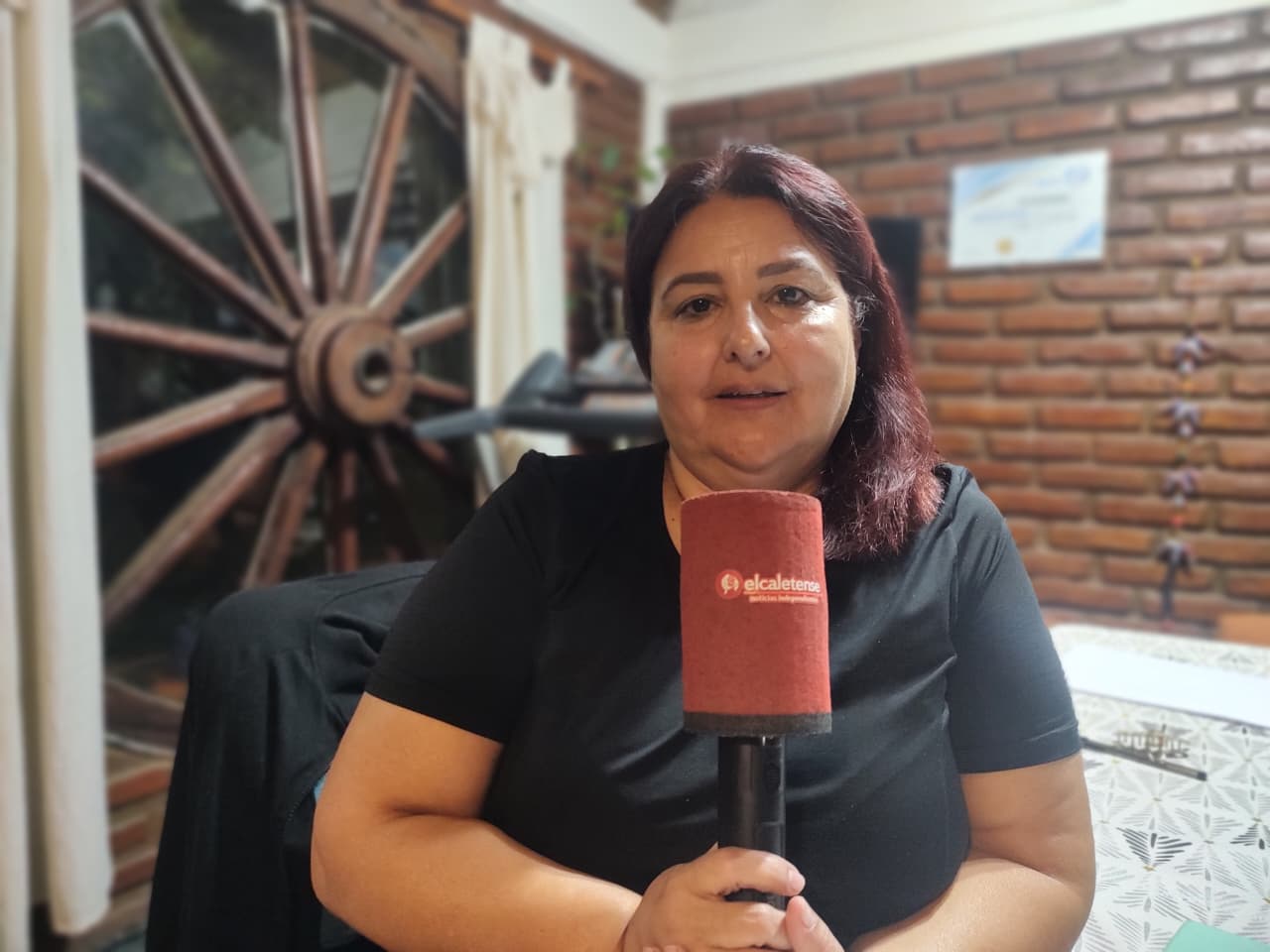  Elba Regensburger: “Mi hijo Sergio es inocente del femicidio que se lo acusa”