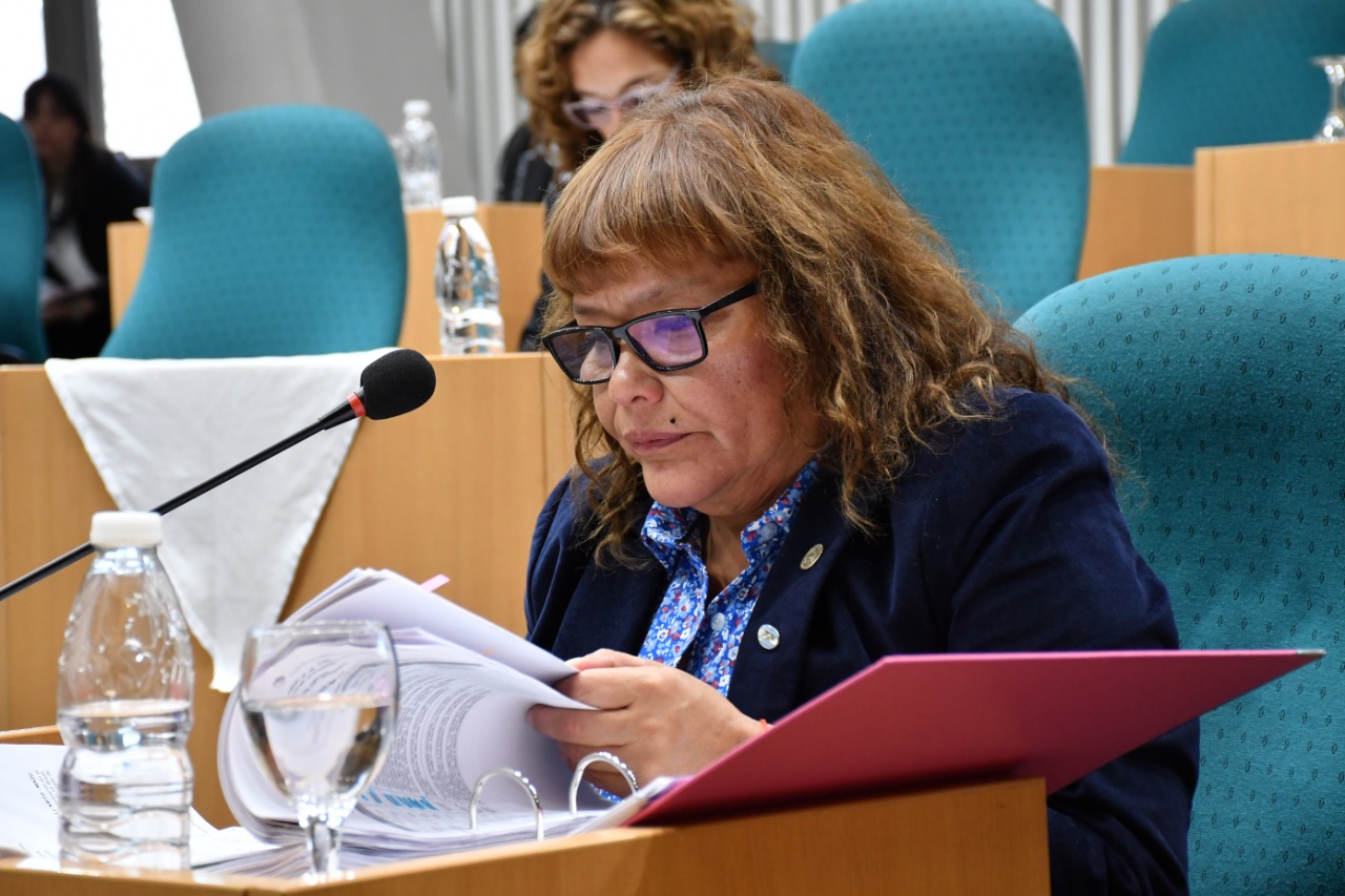 Plantean una norma para la protección contra la tortura y tratos crueles y degradantes 