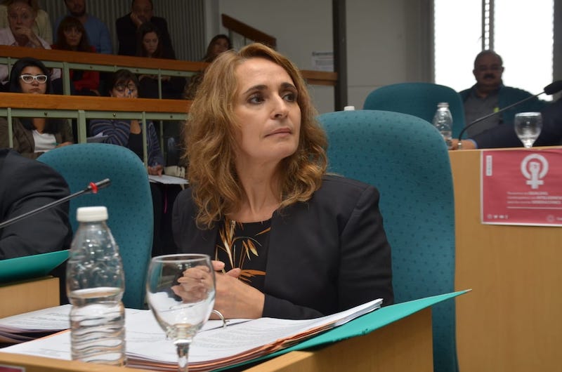 La diputada Ricci denuncia desvíos millonarios en Vialidad Provincial y pide cambios en el Tribunal de Cuentas