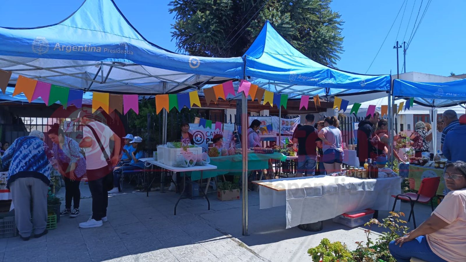 El INTA impulsa el desarrollo sostenible a través de una feria de frescos