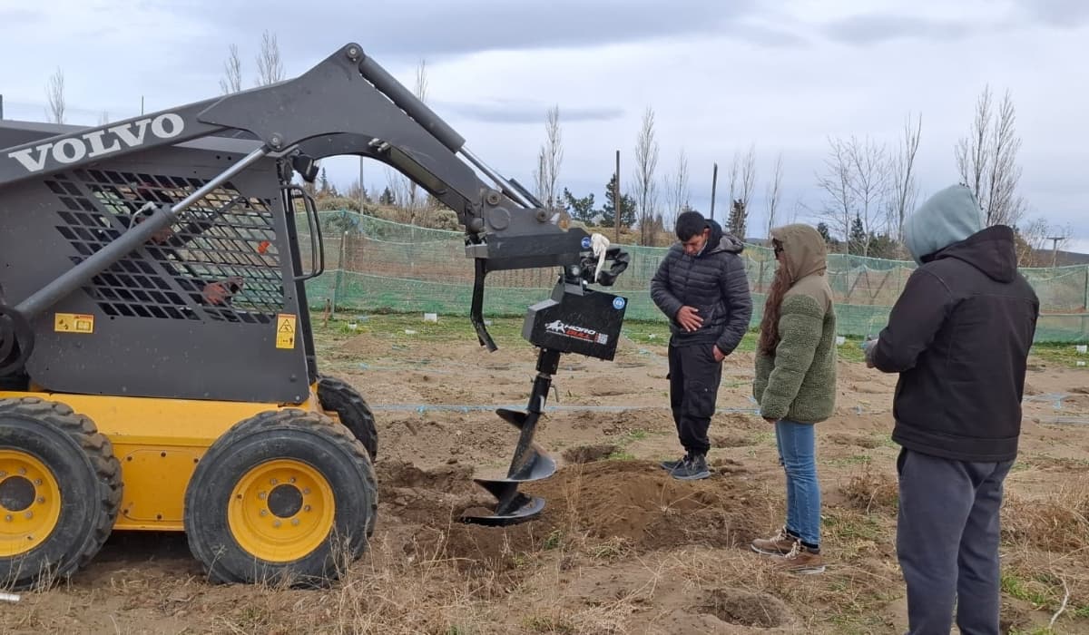 Avanzan las tareas de ampliación en el viñedo de Punto Orgánico