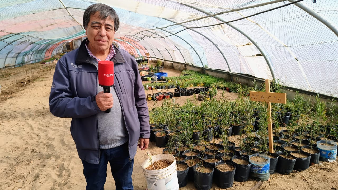 Rubén Contreras hizo un balance de su gestión y entrego plantines en el invernadero Municipal 