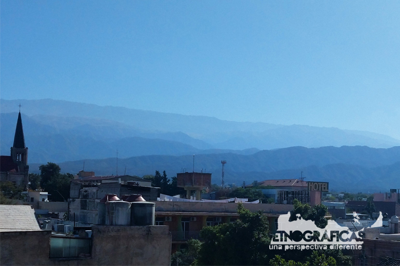 El guanaco en Santa Cruz: entre el desafío ambiental y su potencial nutricional