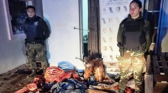 Desmantelaron un matadero clandestino que vendía hamburguesas de carne de caballo